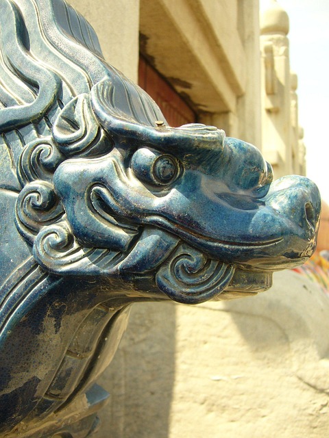 Free China Dragon photo and picture