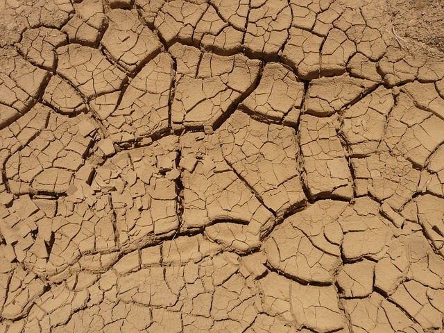 Free Floor Dry photo and picture
