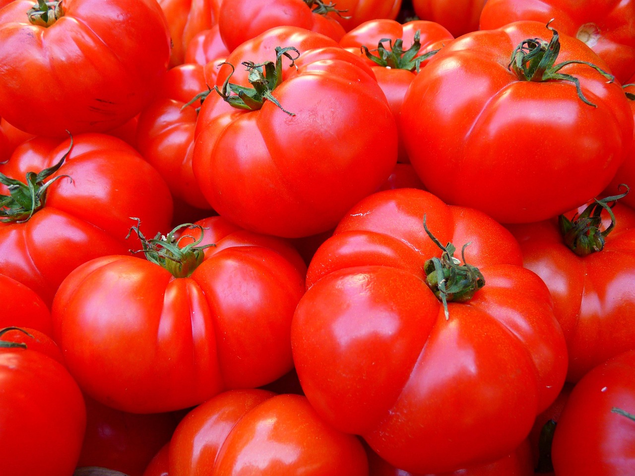 9 000 Free Tomatoes Food Images Pixabay