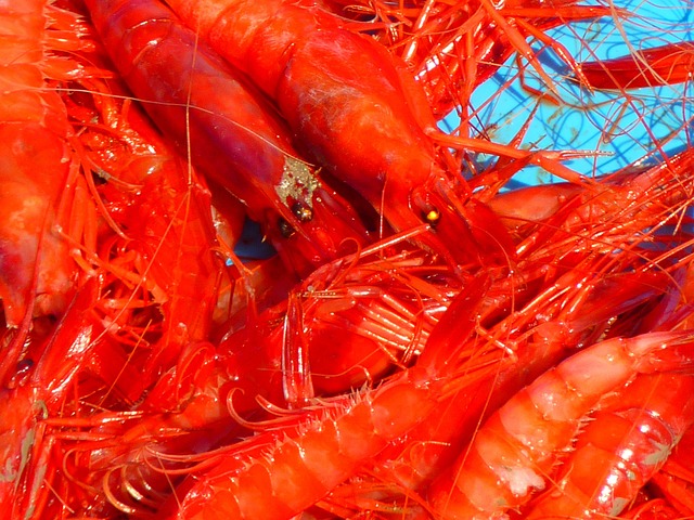 Польза и вред консервированного крабового мяса
