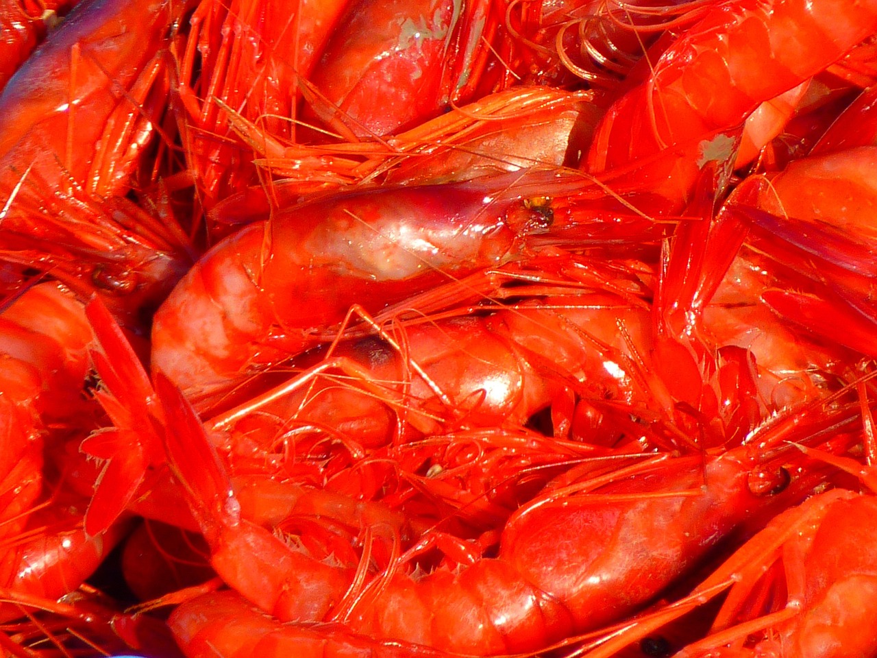 Консервированное крабовое мясо Консервированное крабовое мясо