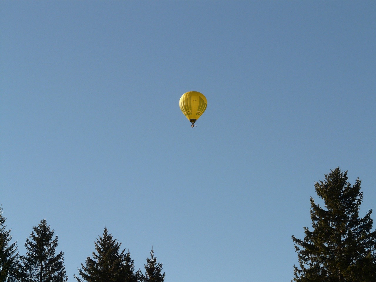 Balloon - free online jigsaw puzzle photo
