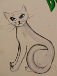 cat