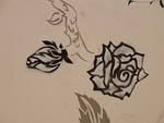 rose