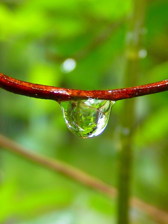 green images free