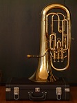 euphonium, bugle, brass instrument