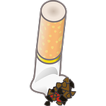 cigarette butts