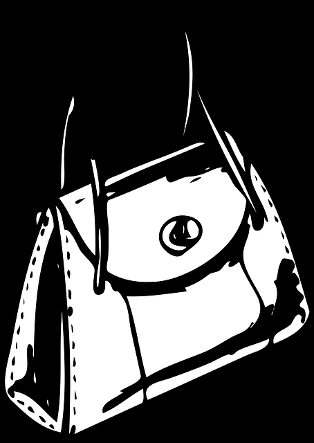 Free Purse Pocket illustration and picture