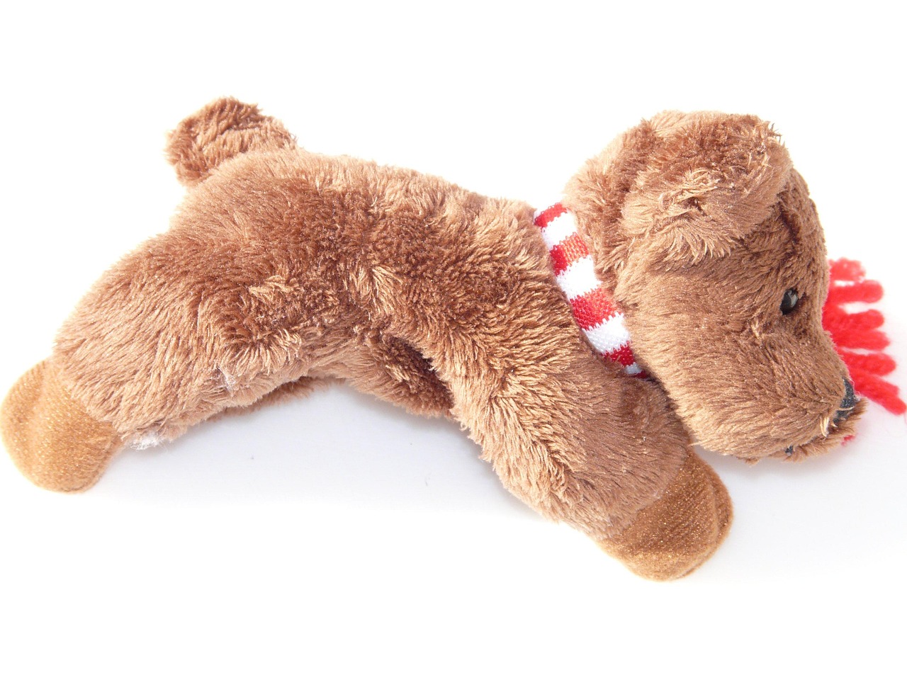plush-dog-10334_1280.jpg