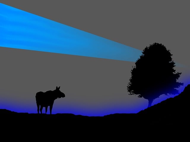 Download free HD stock image of Moose Tree Free moose tree abstract illustration