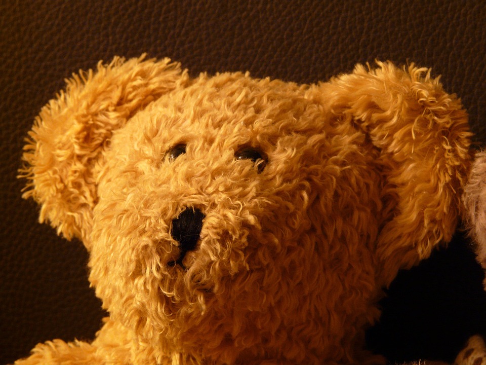 Teddy Bear Cuddly Toy Soft - Free photo on Pixabay - Pixabay