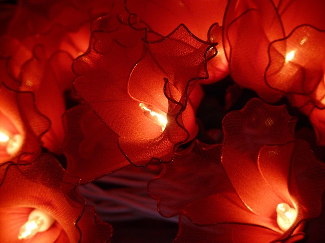 Free Lamp Light photo and picture
