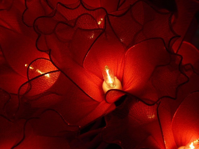 Free Lamp Light photo and picture