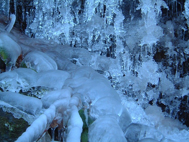 Free Winter Ice Cream photo and picture