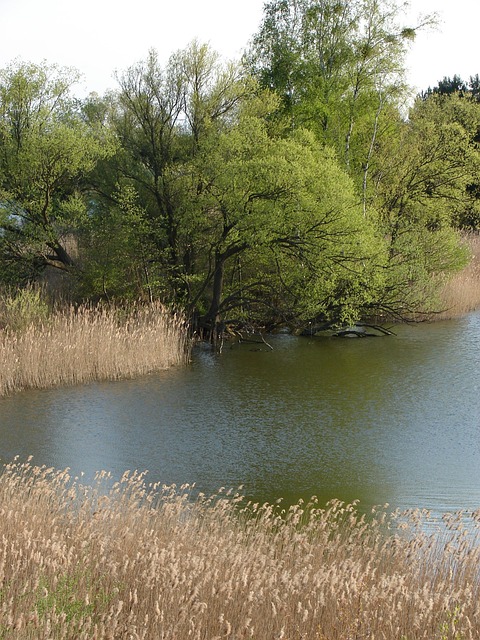 Free Landscape Green photo and picture