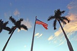 flag, american, palm