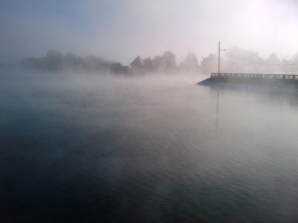 fog foggy mist free