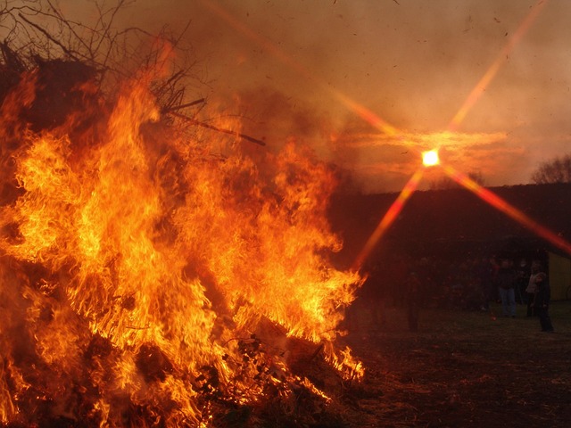 Free Fire Nature photo and picture