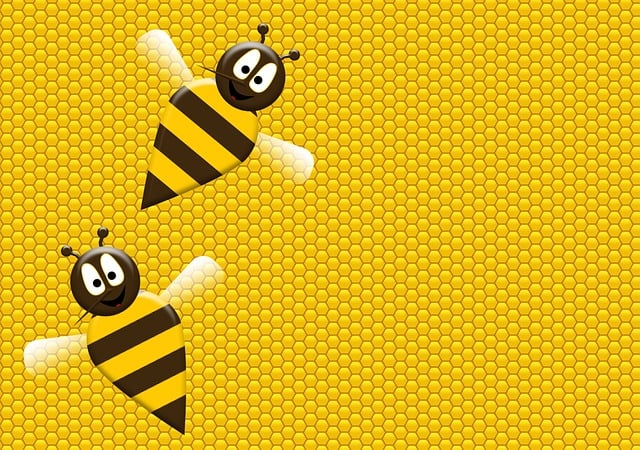 Free bee honey honeybee illustration