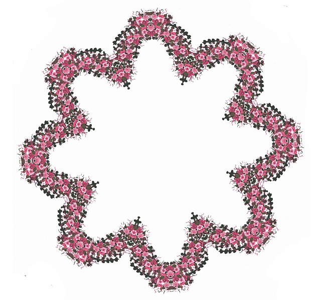 frame border floral 183 free image on pixabay frame border floral 183 free image on pixabay