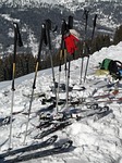 ski poles, sticks, ski