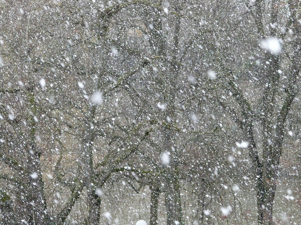 降雪雪雪花 Pixabay上的免费照片