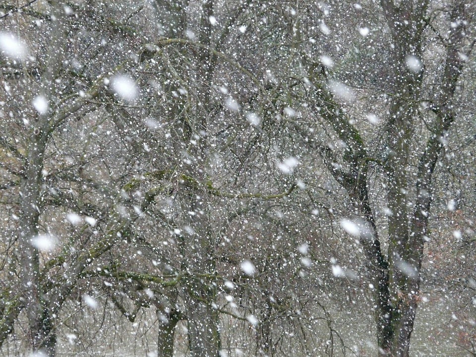 降雪雪雪花 Pixabay上的免费照片