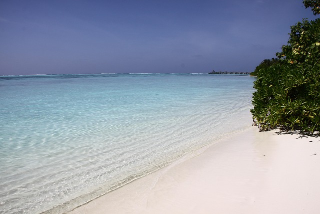 Malediven, Wasser, Meer, Natur, Strand