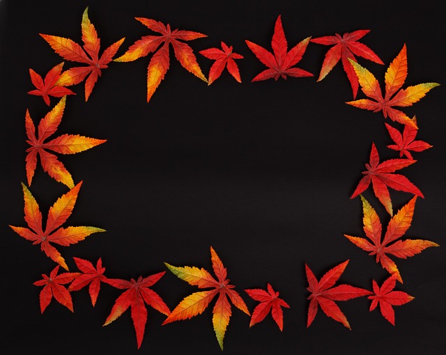 Download free HD stock image of Autumn Dark Free Autumn Dark photo and picture