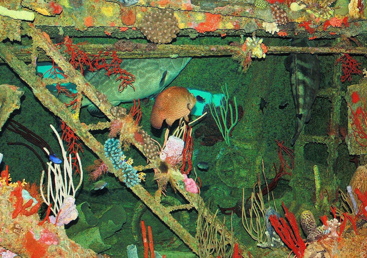 Animals - free online jigsaw puzzle photo