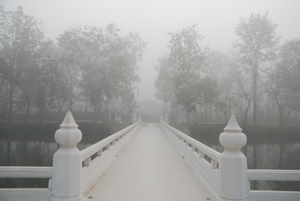 丁香五香月