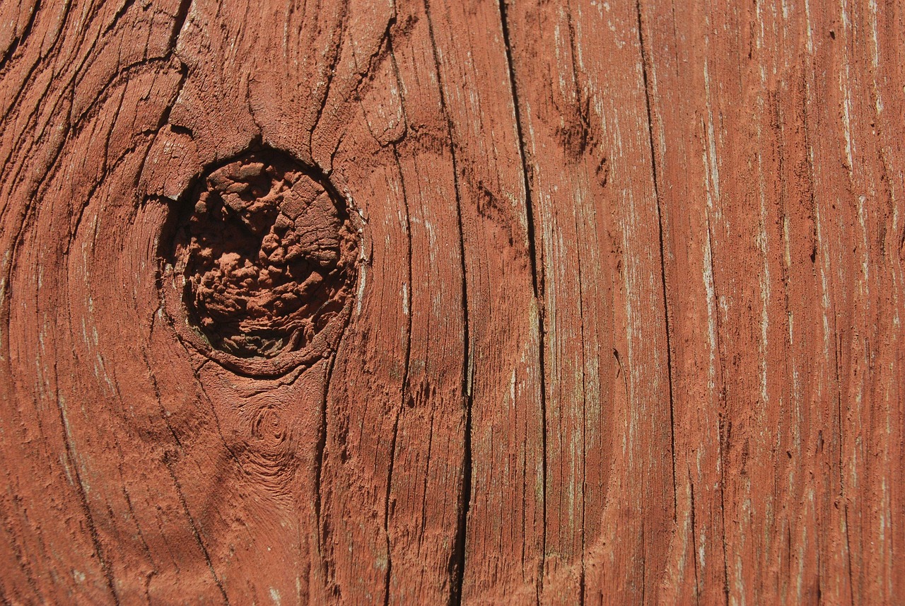 50,000+ Free Wood Knot & Knot Images Pixabay