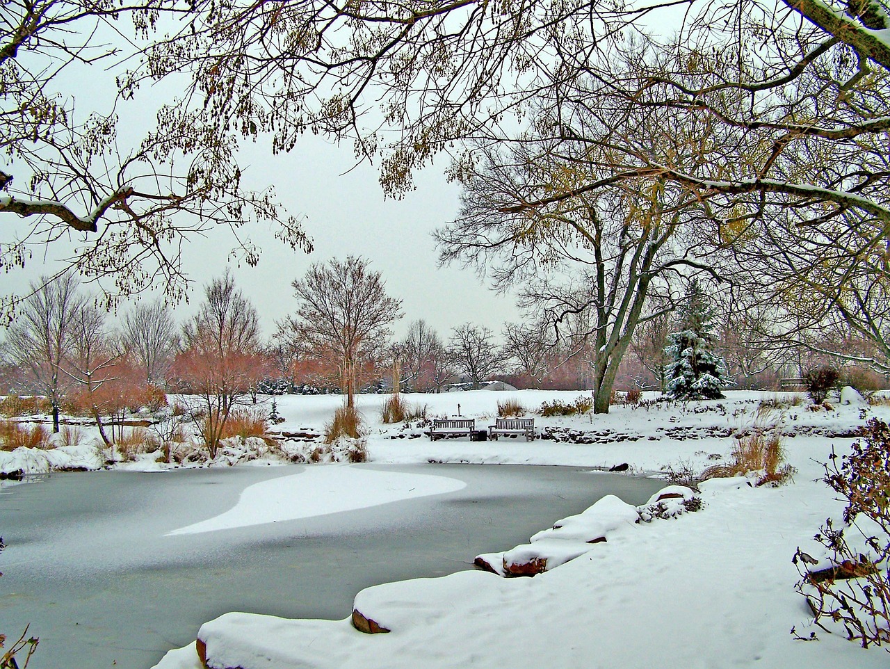 Frozen Pond Winter - Free photo on Pixabay