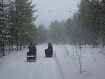 horse, carriage, winter