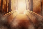 bridge, golden, light