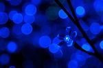 background, blue, bulb