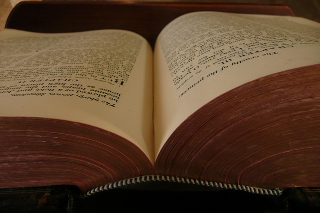 book-19685_640.jpg