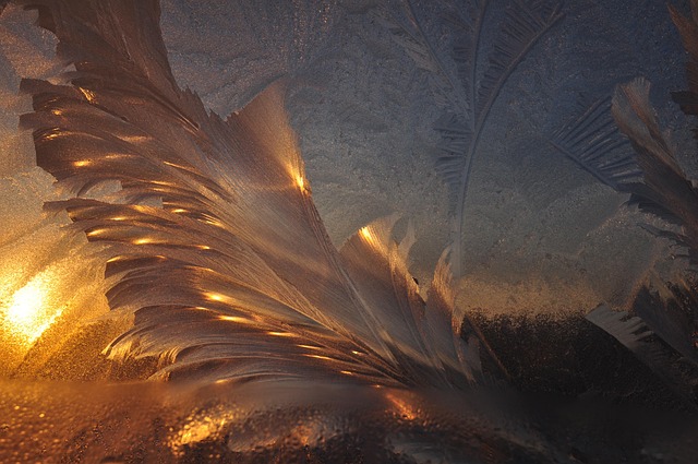 Free Winter Freezes photo and picture