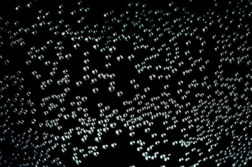 10+ Free Tiny Bubbles & Aquamarine Images - Pixabay