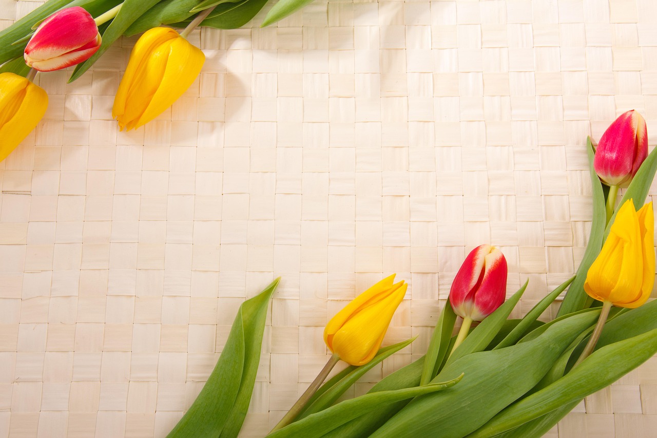 Background - free online jigsaw puzzle photo
