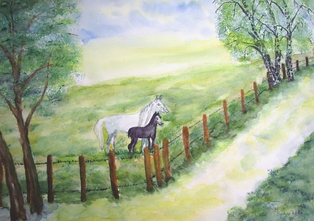 Free horses coupling pasture illustration