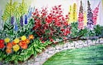flowers, wall, park