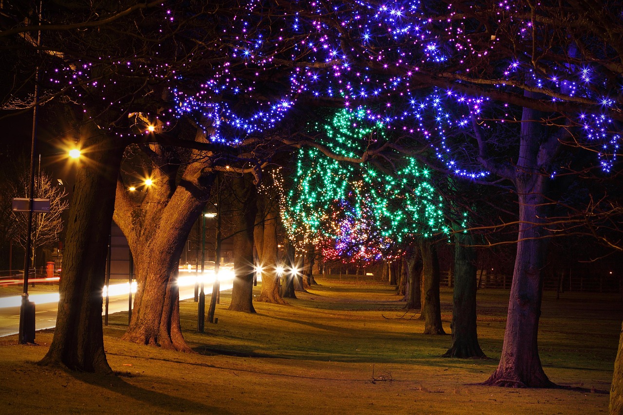 Tree - free online jigsaw puzzle photo