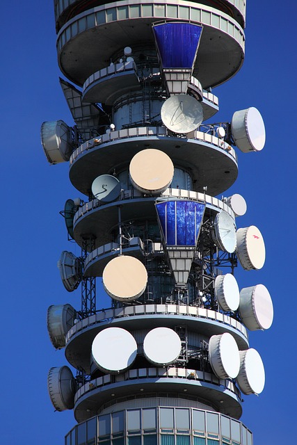 Free Antenna Cell photo and picture