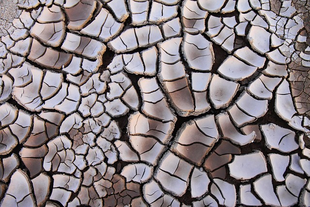 Free Background Cool Backgrounds photo and picture