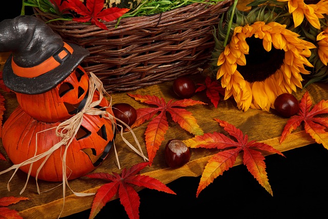 Free Autumn Black photo and picture