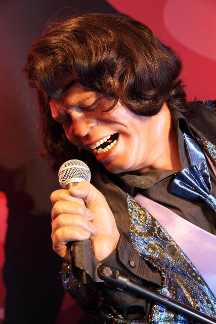 Brown, Konzert, Musik, Porträt, Show