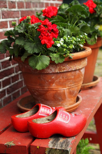 Free Clog Flower Wallpaper photo and picture