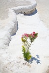 concept, desert, dirt