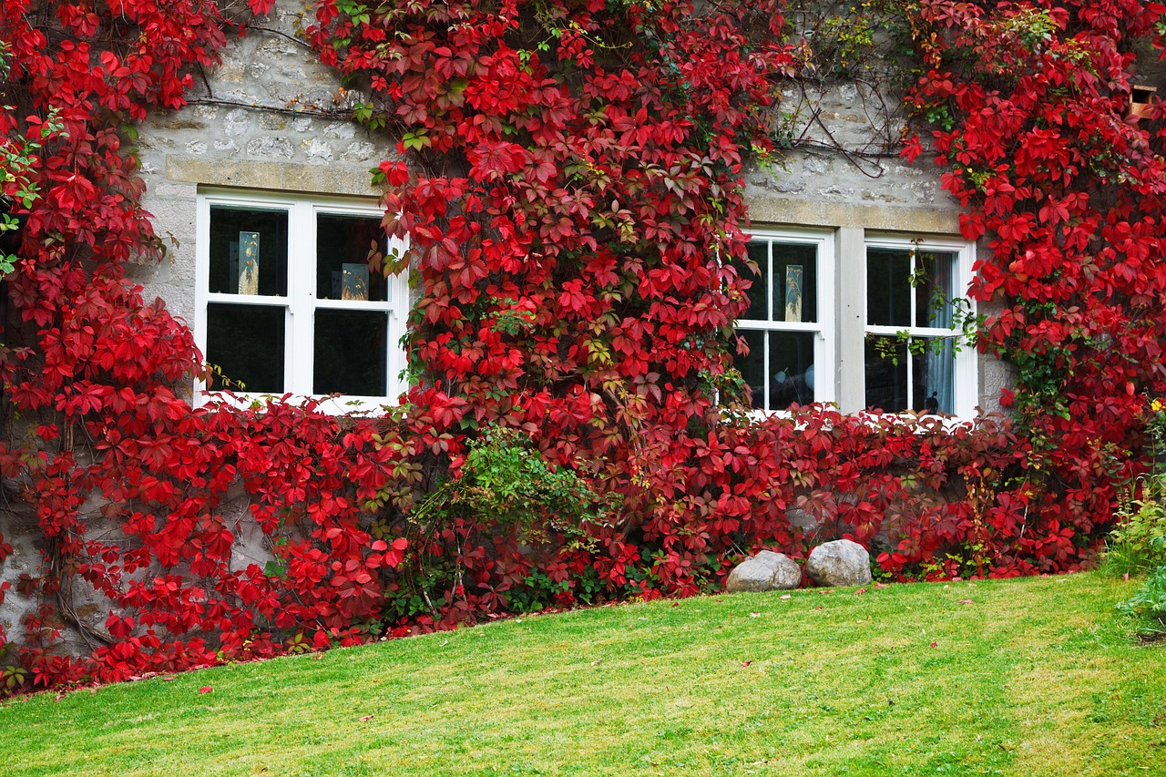 Architecture - free online jigsaw puzzle photo
